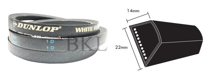 C225 Dunlop White C Section V Belt, 22mm Top Width, 14mm Thickness, Inside Length 5715mm image 2