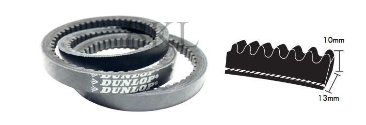 XPA1057 Dunlop XPA Section V Belt, 13mm Top Width, 10mm Thickness, 1000mm Pitch Length image 2