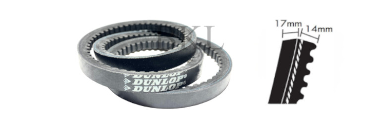 XPB1590 Dunlop XPB Section V Belt, 17mm Top Width, 14mm Thickness, 1590mm Pitch Length image 2