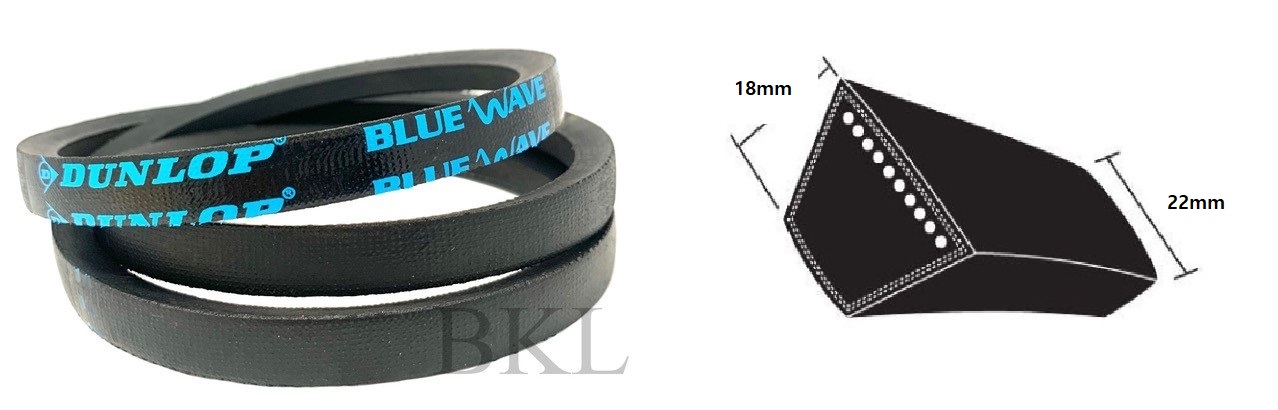 SPC3350 Dunlop Blue SPC Section V Belt, 17mm Top Width, 14mm Thickness, 3350mm Pitch Length image 2